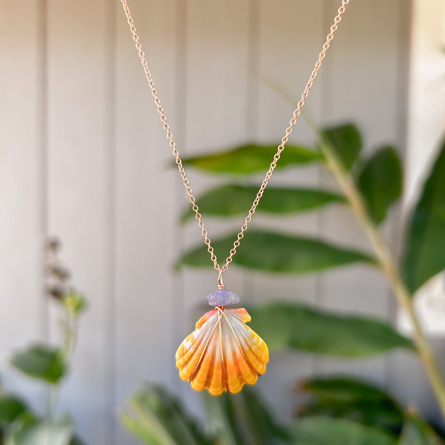 Necklace 14k Rose Gold Filled Chain - Sunrise Shell + Tanzanite